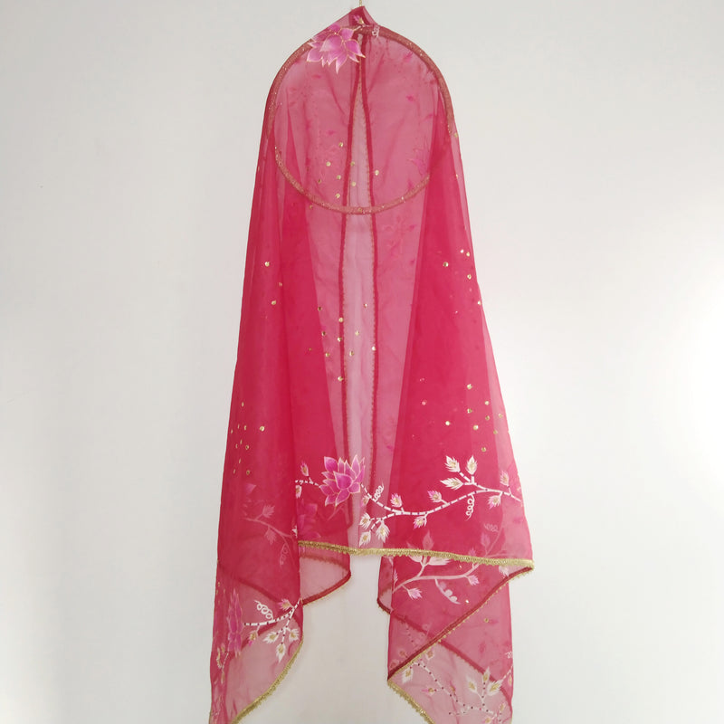 HAND PAINTED ORGANZA DUPATTA