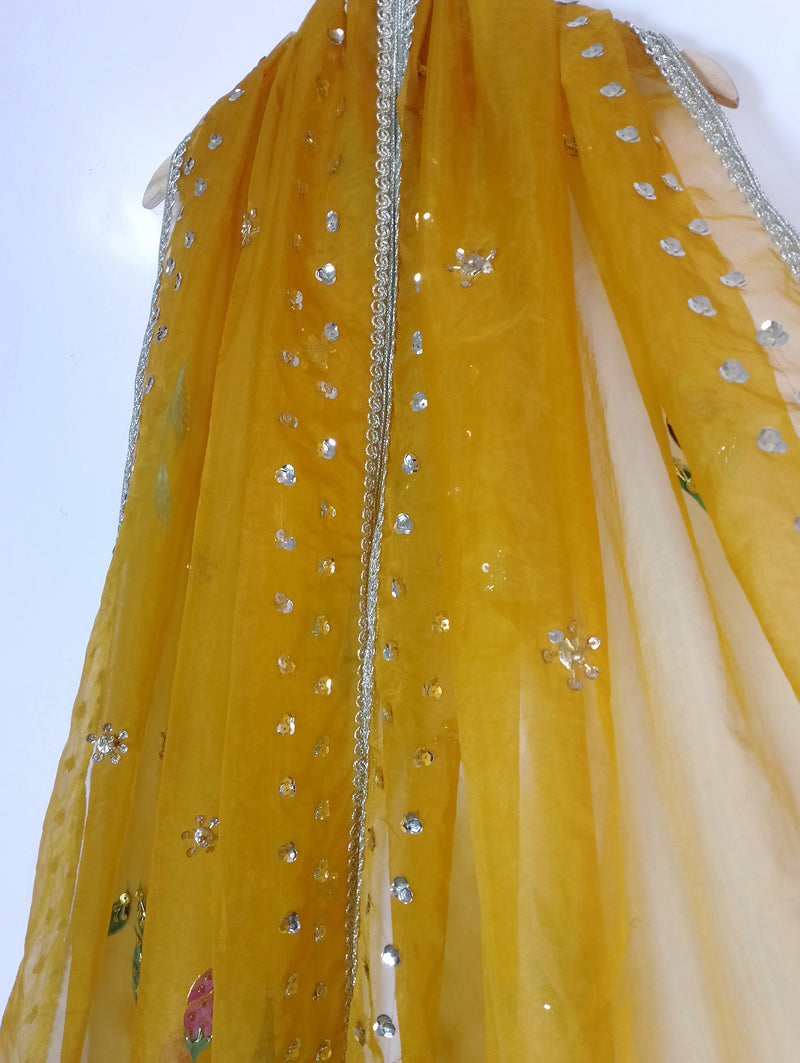 HAND PAINTED ORGANZA DUPATTA