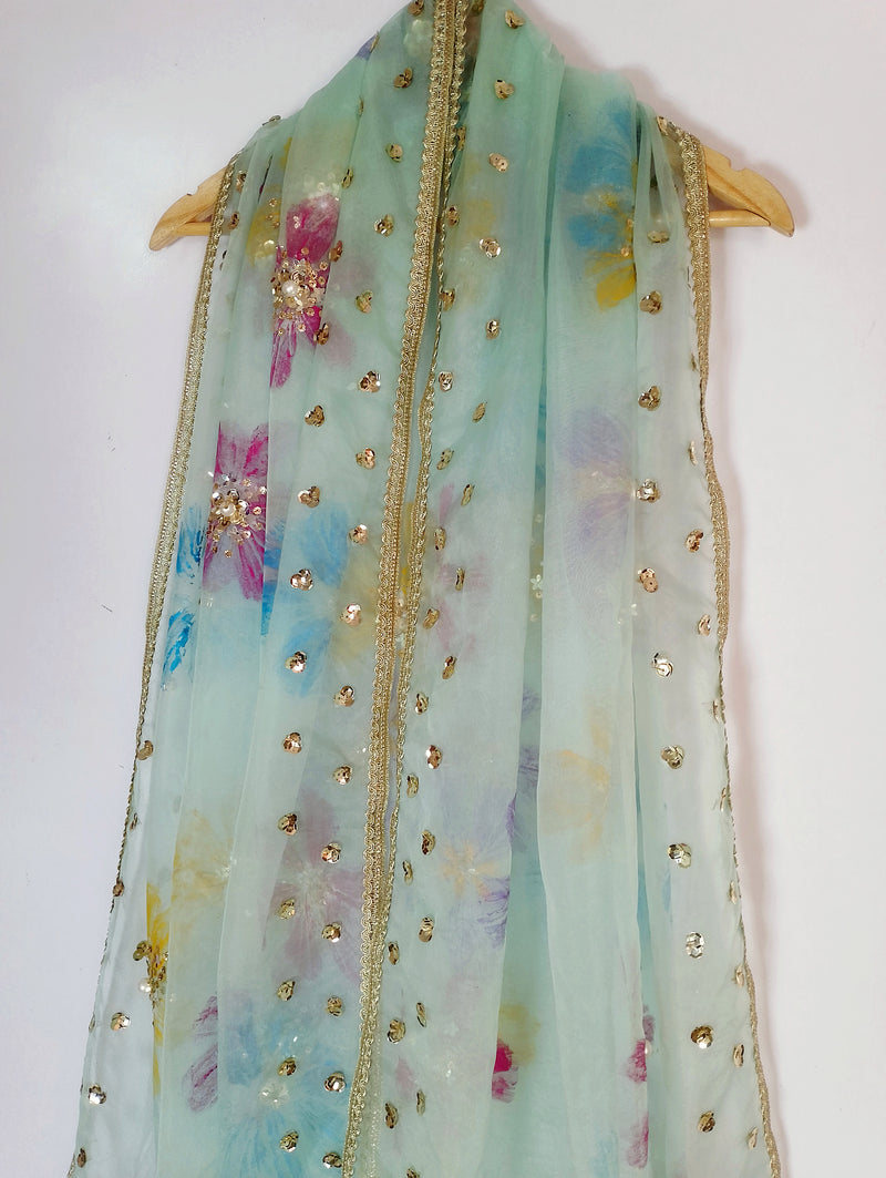 HAND PAINTED ORGANZA DUPATTA