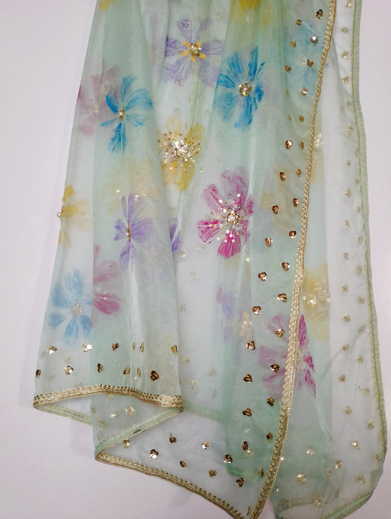 HAND PAINTED ORGANZA DUPATTA