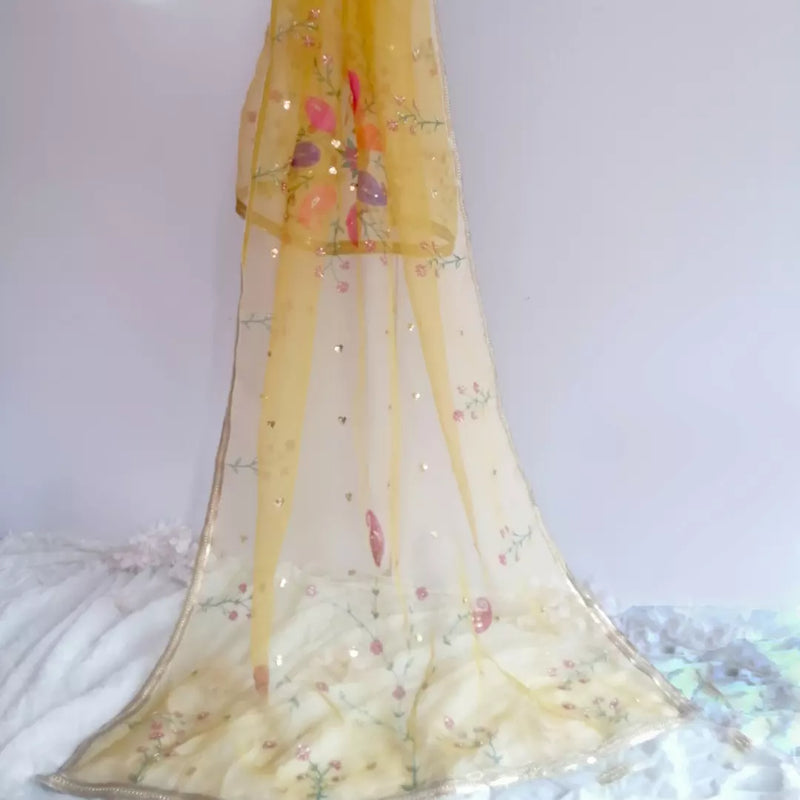 HAND PAINTED PURE ORGANZA DUPATTA