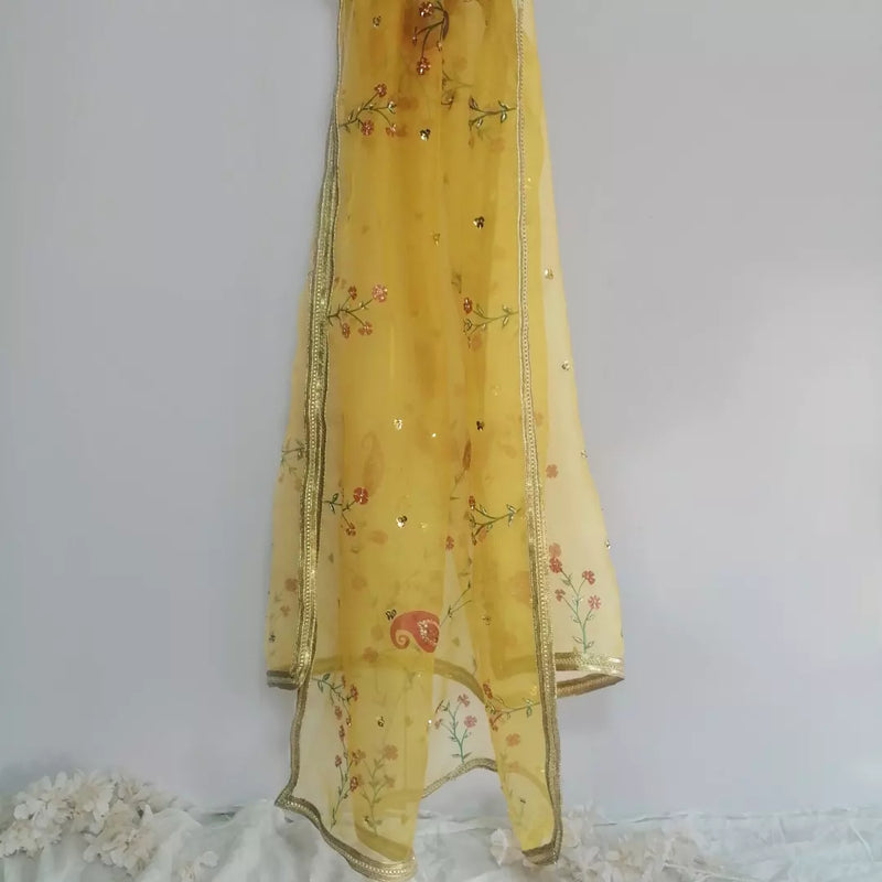 HAND PAINTED PURE ORGANZA DUPATTA