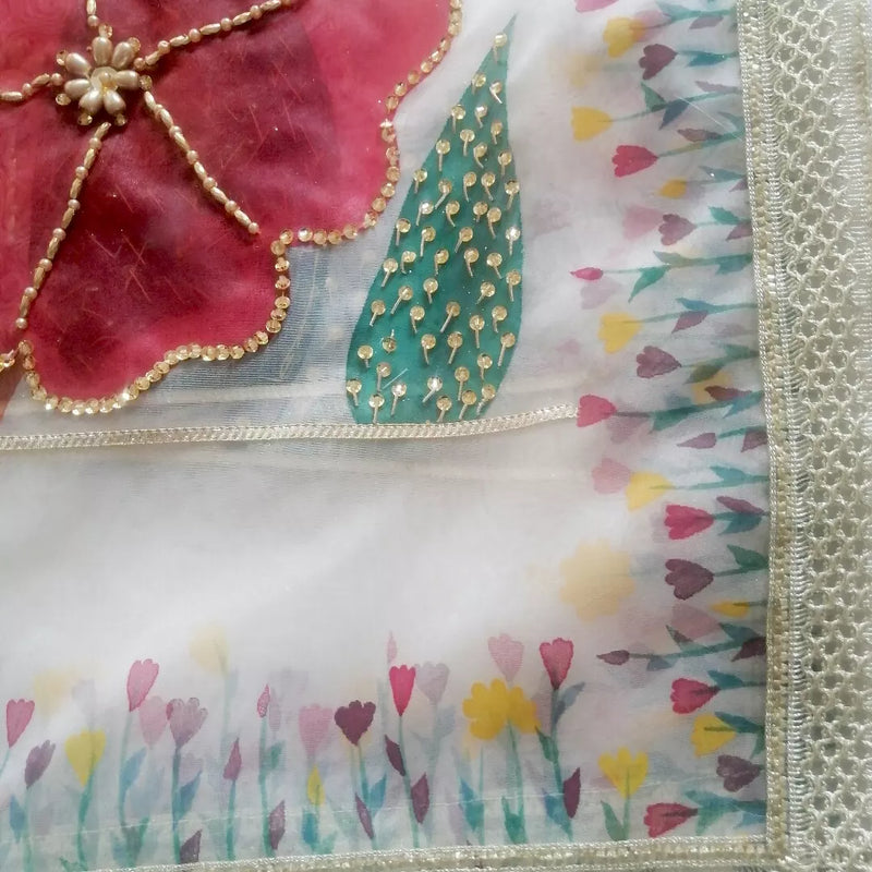 HAND PAINTED ORGANZA DUPATTA