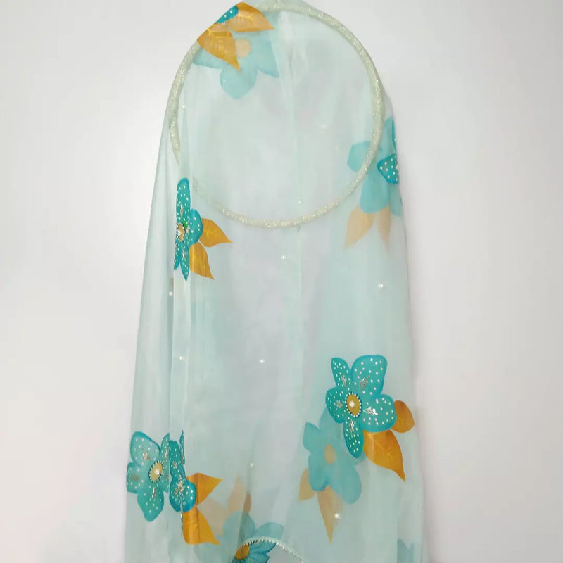 HAND PAINTED ORGANZA DUPATTA